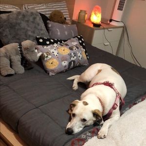 Meet your Posher, Bianca